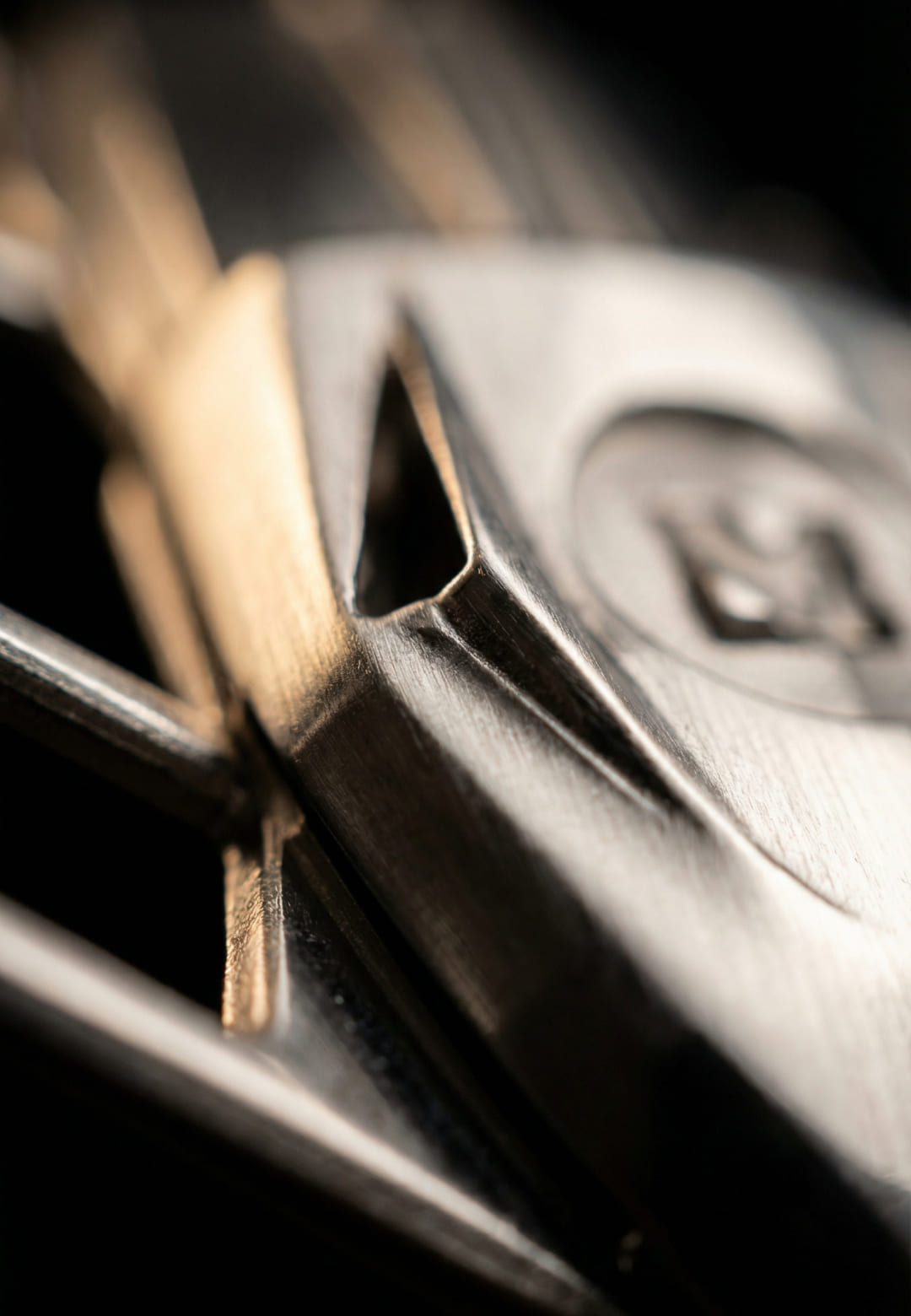 Meteorite Insert Details Space Odyssey Moon