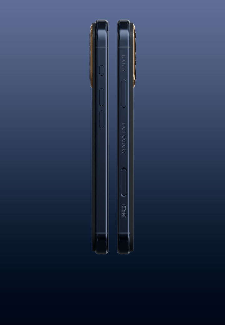 Limited Edition Gold Navy