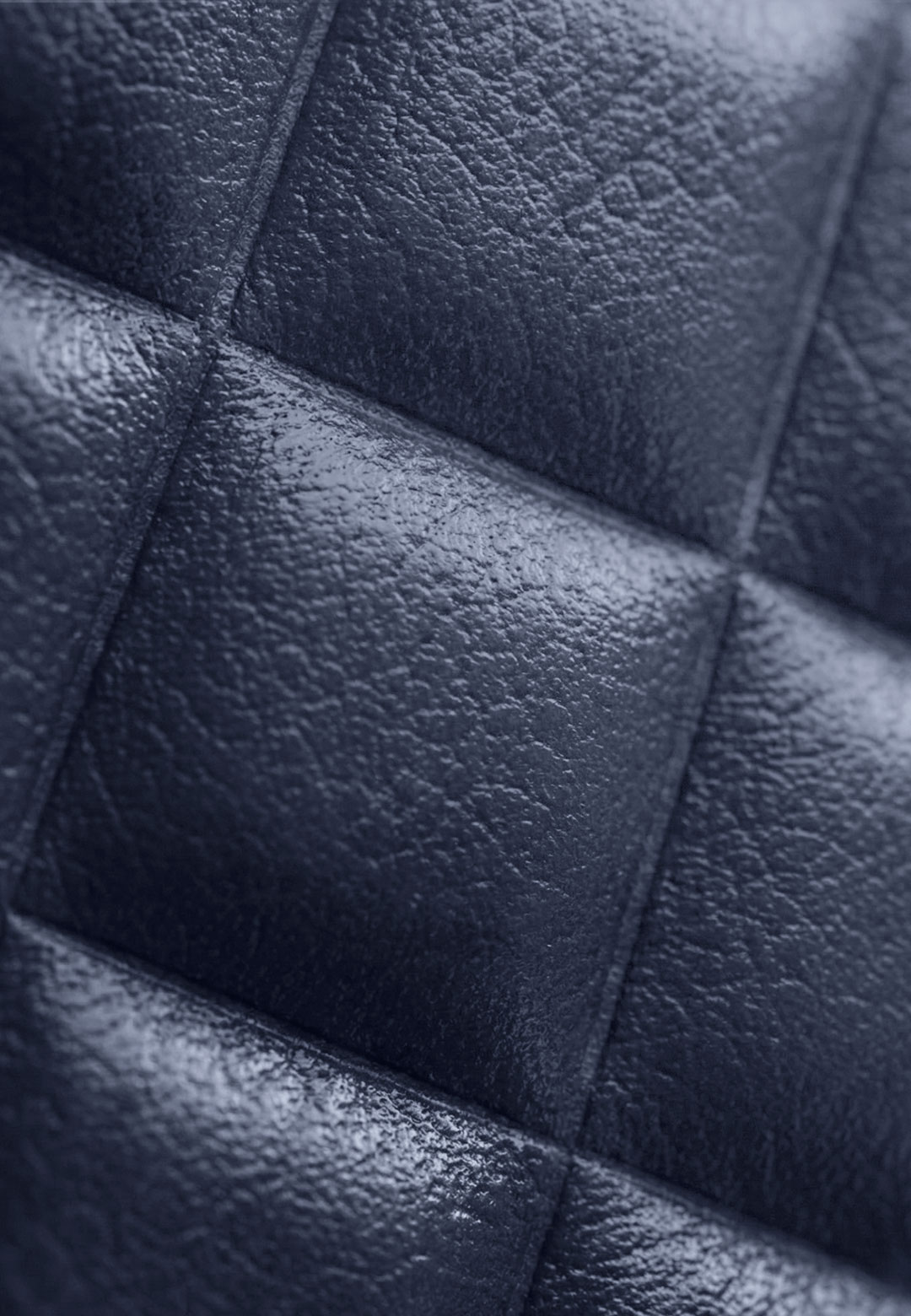 Caviar Embossing Côte Bleue