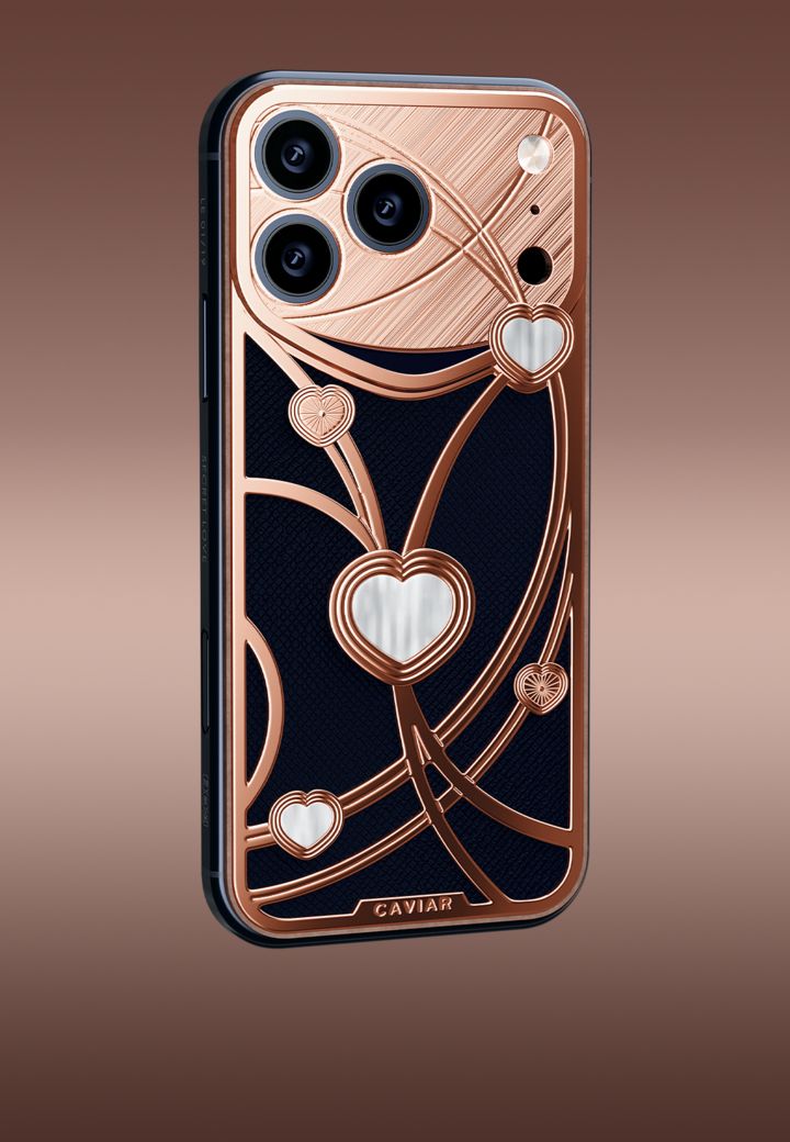 General plan Dancing Hearts