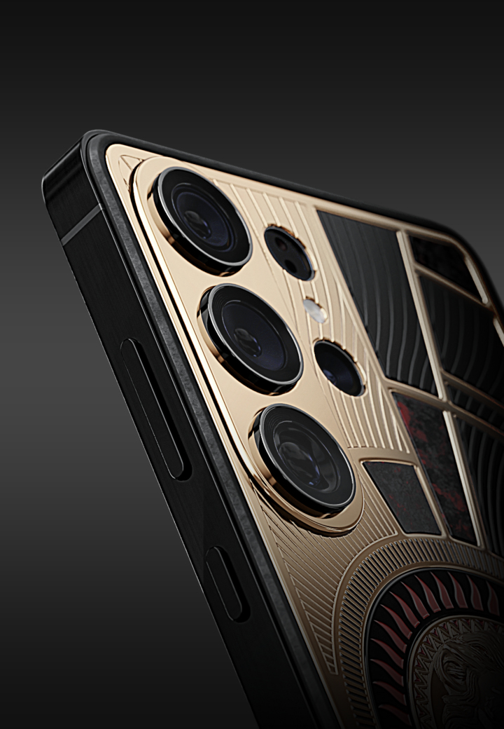 Camera Close-Up Lion