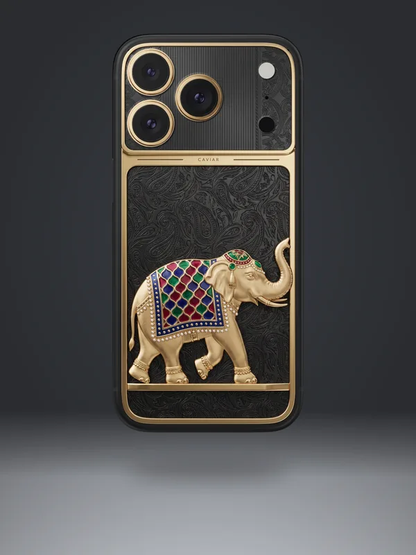 INDIA · Royal Elephant